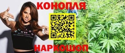 индика Будённовск