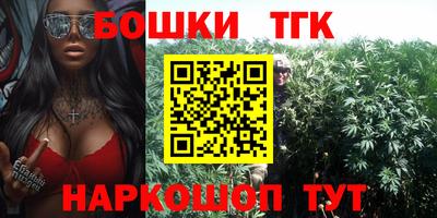 индика Будённовск